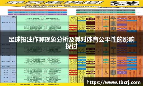 足球投注作弊现象分析及其对体育公平性的影响探讨
